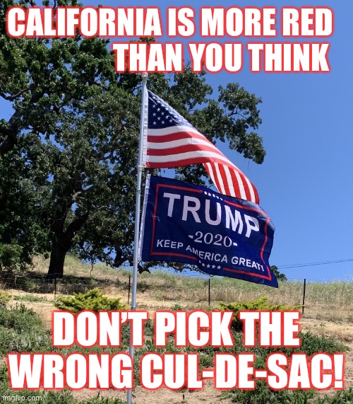 TrumpFlag1 | CALIFORNIA IS MORE RED                  THAN YOU THINK; DON’T PICK THE WRONG CUL-DE-SAC! | image tagged in trumpflag1 | made w/ Imgflip meme maker