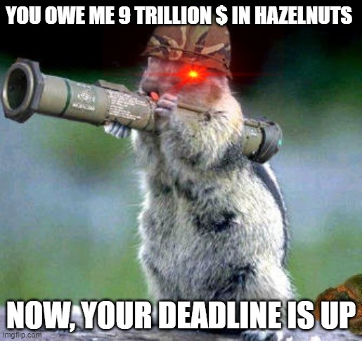 Bazooka Squirrel | YOU OWE ME 9 TRILLION $ IN HAZELNUTS; NOW, YOUR DEADLINE IS UP | image tagged in memes,bazooka squirrel | made w/ Imgflip meme maker