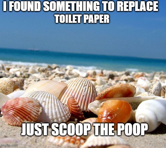 SAVE A TREE | I FOUND SOMETHING TO REPLACE; TOILET PAPER; JUST SCOOP THE POOP | image tagged in sea shells,coronavirus | made w/ Imgflip meme maker