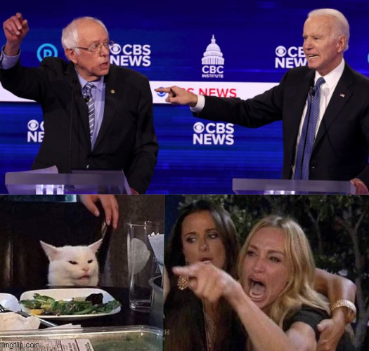 GUYS- THEY DID IT! THEY DID THE MEME! | image tagged in woman yelling at cat,memes,democrat debate | made w/ Imgflip meme maker