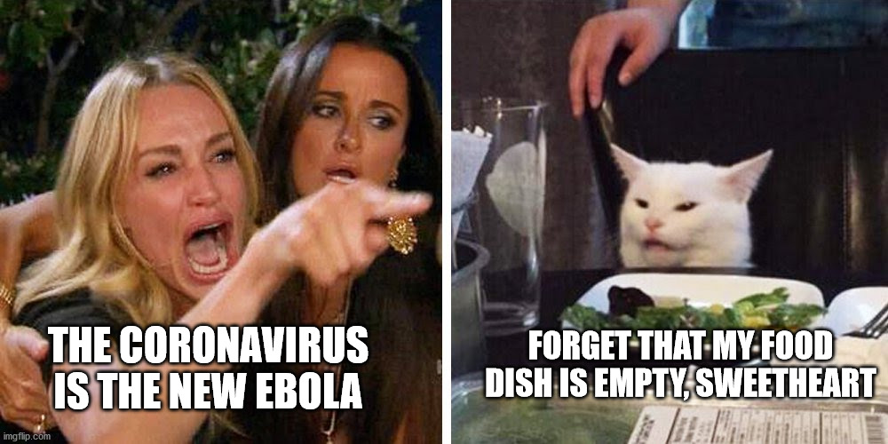 https://imgflip.com/i/3sr6c2 | THE CORONAVIRUS IS THE NEW EBOLA; FORGET THAT MY FOOD DISH IS EMPTY, SWEETHEART | image tagged in smudge the cat | made w/ Imgflip meme maker