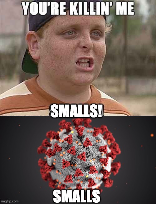 SMALLS image tagged in coronavirus,the sandlot,smalls made w/ Imgflip meme ...