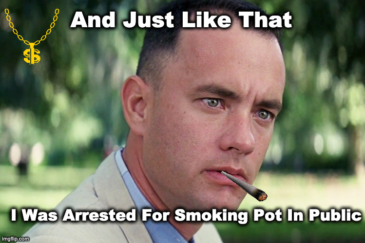 Forrest Gump | And Just Like That; I Was Arrested For Smoking Pot In Public | image tagged in memes,and just like that,funny meme,funny,forrest gump,forrest | made w/ Imgflip meme maker