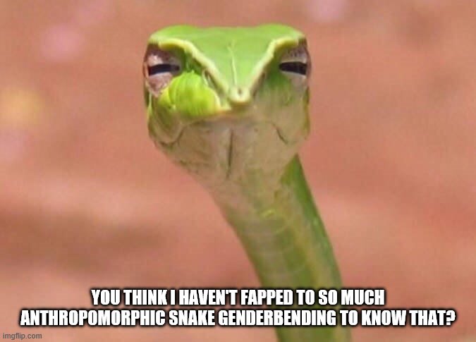 Skeptical snake | YOU THINK I HAVEN'T FAPPED TO SO MUCH ANTHROPOMORPHIC SNAKE GENDERBENDING TO KNOW THAT? | image tagged in skeptical snake | made w/ Imgflip meme maker