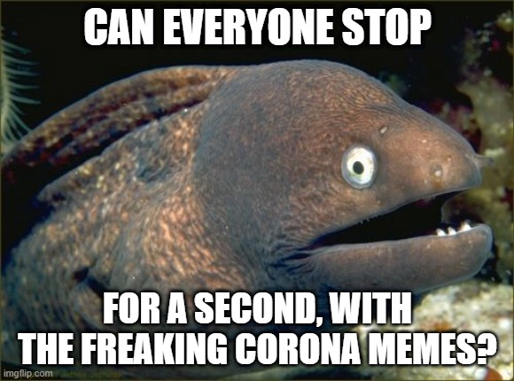 Bad Joke Eel Meme | CAN EVERYONE STOP; FOR A SECOND, WITH THE FREAKING CORONA MEMES? | image tagged in memes,bad joke eel | made w/ Imgflip meme maker