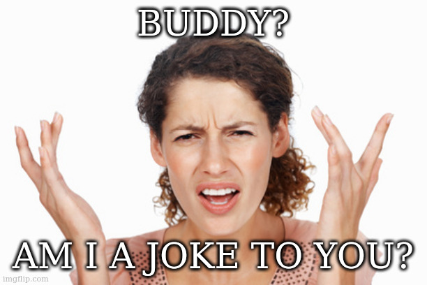 Indignant | BUDDY? AM I A JOKE TO YOU? | image tagged in indignant | made w/ Imgflip meme maker