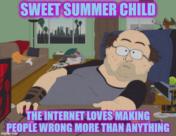 RPG Fan Meme | SWEET SUMMER CHILD THE INTERNET LOVES MAKING PEOPLE WRONG MORE THAN ANYTHING | image tagged in memes,rpg fan | made w/ Imgflip meme maker