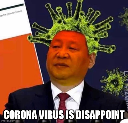 CORONA VIRUS IS DISAPPOINT | image tagged in coronavirus,corona,china | made w/ Imgflip meme maker