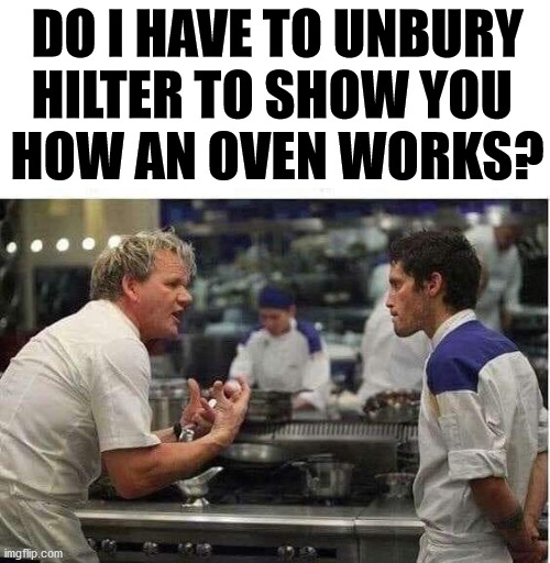 DO I HAVE TO UNBURY HILTER TO SHOW YOU 
HOW AN OVEN WORKS? | made w/ Imgflip meme maker
