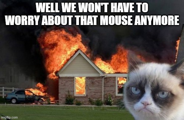 Burn Kitty | WELL WE WON'T HAVE TO WORRY ABOUT THAT MOUSE ANYMORE | image tagged in memes,burn kitty,grumpy cat | made w/ Imgflip meme maker