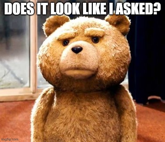 TED Meme | DOES IT LOOK LIKE I ASKED? | image tagged in memes,ted | made w/ Imgflip meme maker