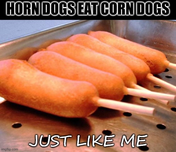 Horn Dogs Eat Corn Dogs | HORN DOGS EAT CORN DOGS; JUST LIKE ME | image tagged in corn dog,me,sexy,horny,attractive,funny | made w/ Imgflip meme maker