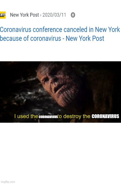 I used the stones to destroy the stones | CORONAVIRUS; CORONAVIRUS | image tagged in i used the stones to destroy the stones | made w/ Imgflip meme maker
