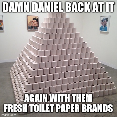 DAMN DANIEL BACK AT IT; AGAIN WITH THEM FRESH TOILET PAPER BRANDS | image tagged in toilet humor | made w/ Imgflip meme maker