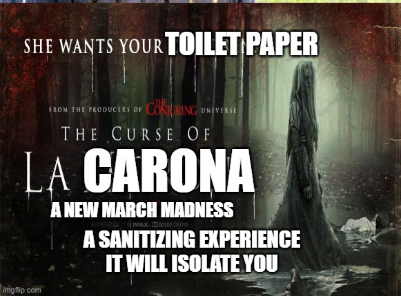 La Carona | TOILET PAPER; CARONA; A NEW MARCH MADNESS; A SANITIZING EXPERIENCE IT WILL ISOLATE YOU | image tagged in caronavirus,no more toilet paper,toilet paper | made w/ Imgflip meme maker