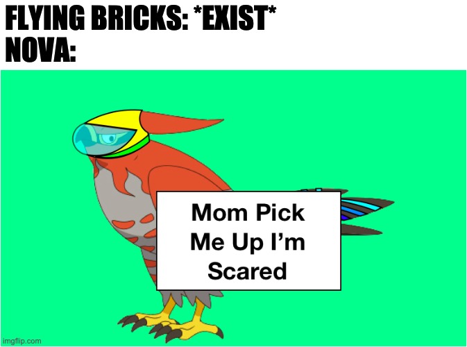 I think I forgot to metion Nova's afraid of flying bricks | FLYING BRICKS: *EXIST*
NOVA: | image tagged in mom pick me up nova | made w/ Imgflip meme maker