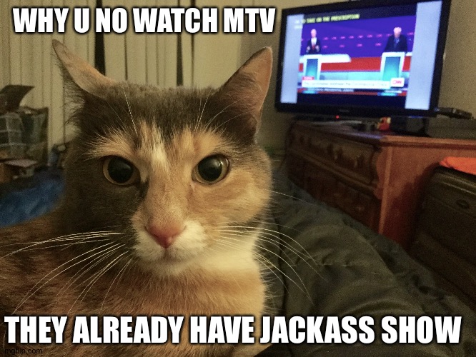 WHY U NO WATCH MTV; THEY ALREADY HAVE JACKASS SHOW | image tagged in joe biden,bernie sanders,jackass | made w/ Imgflip meme maker