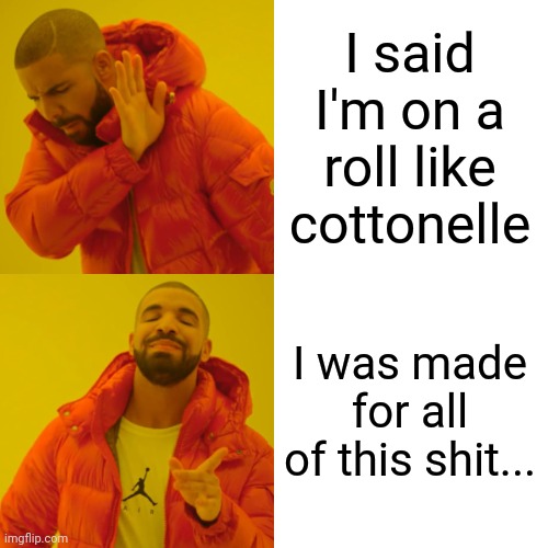 Drake Hotline Bling Meme | I said I'm on a roll like cottonelle; I was made for all of this shit... | image tagged in memes,drake hotline bling | made w/ Imgflip meme maker