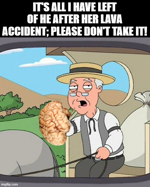 Pepperidge Farm Remembers Meme | IT'S ALL I HAVE LEFT OF HE AFTER HER LAVA ACCIDENT; PLEASE DON'T TAKE IT! | image tagged in memes,pepperidge farm remembers | made w/ Imgflip meme maker