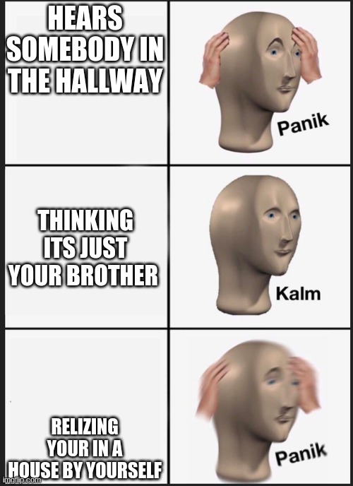 Panik Kalm Panik | HEARS SOMEBODY IN THE HALLWAY; THINKING ITS JUST YOUR BROTHER; RELIZING YOUR IN A HOUSE BY YOURSELF | image tagged in panik kalm | made w/ Imgflip meme maker