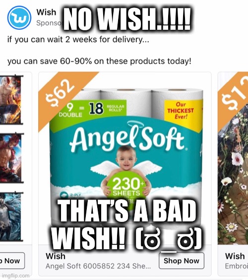 Wish... no | NO WISH.!!!! THAT’S A BAD WISH!!  (ಠ_ಠ) | image tagged in online shopping | made w/ Imgflip meme maker
