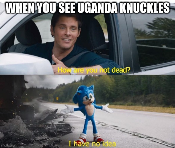 sonic how are you not dead | WHEN YOU SEE UGANDA KNUCKLES | image tagged in sonic how are you not dead | made w/ Imgflip meme maker