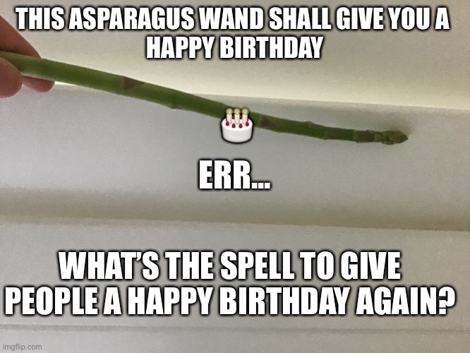 Asparagus wand meme | THIS ASPARAGUS WAND SHALL GIVE YOU A 
HAPPY BIRTHDAY; 🎂; ERR... WHAT’S THE SPELL TO GIVE PEOPLE A HAPPY BIRTHDAY AGAIN? | image tagged in happy birthday | made w/ Imgflip meme maker