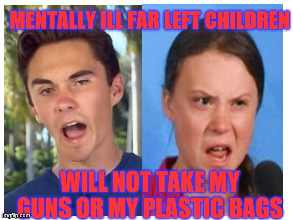Blank White Template | MENTALLY ILL FAR LEFT CHILDREN; WILL NOT TAKE MY GUNS OR MY PLASTIC BAGS | image tagged in blank white template | made w/ Imgflip meme maker