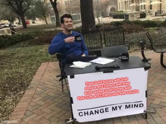 Change My Mind Meme | Bees build homes with their mouths and Defend with their butts spiders build homes with their butts and Defend with their mouths | image tagged in memes,change my mind | made w/ Imgflip meme maker
