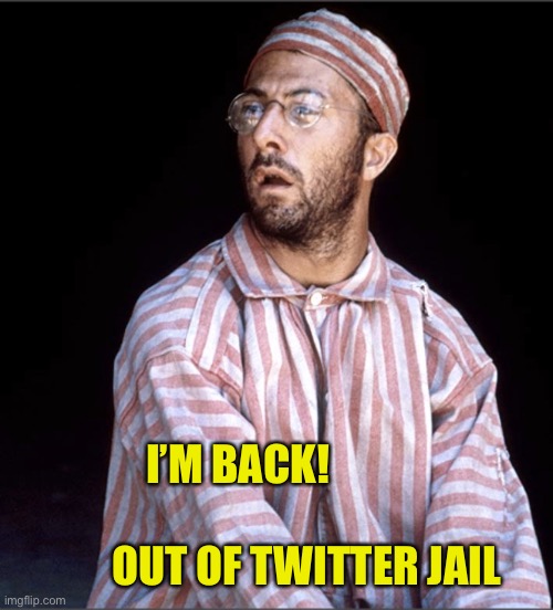 I’m Back | I’M BACK!                                       OUT OF TWITTER JAIL | image tagged in im back | made w/ Imgflip meme maker
