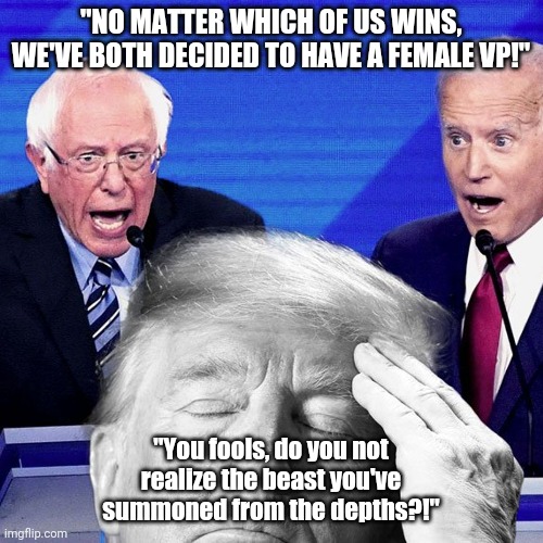 "NO MATTER WHICH OF US WINS, WE'VE BOTH DECIDED TO HAVE A FEMALE VP!"; "You fools, do you not realize the beast you've summoned from the depths?!" | image tagged in hillary clinton,democrats,debate | made w/ Imgflip meme maker