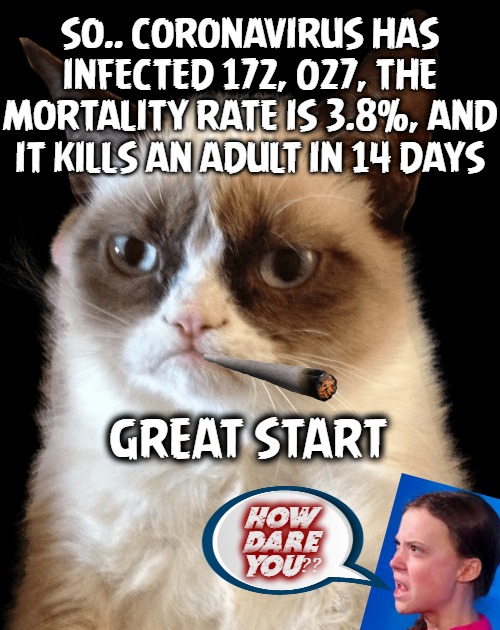 Grumpy and Greta | SO.. CORONAVIRUS HAS INFECTED 172, 027, THE
MORTALITY RATE IS 3.8%, AND IT KILLS AN ADULT IN 14 DAYS; GREAT START; HOW
DARE YOU?? | image tagged in how dare you,grumpy cat,coronavirus | made w/ Imgflip meme maker