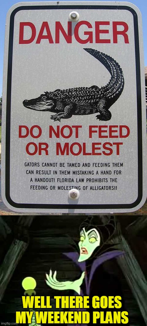 Ruined the gator's plans too | WELL THERE GOES MY WEEKEND PLANS | image tagged in just a joke | made w/ Imgflip meme maker