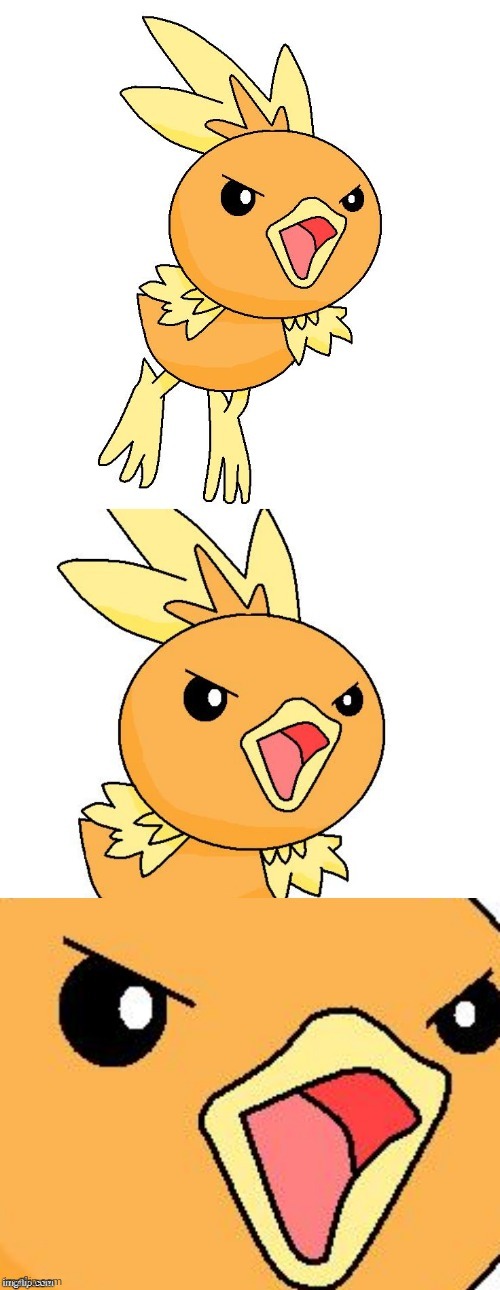image tagged in triggered torchic | made w/ Imgflip meme maker