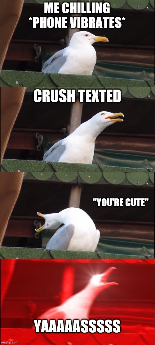 Inhaling Seagull Meme | ME CHILLING
*PHONE VIBRATES*; CRUSH TEXTED; "YOU'RE CUTE"; YAAAAASSSSS | image tagged in memes,inhaling seagull | made w/ Imgflip meme maker