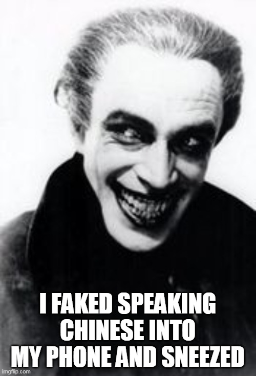 I FAKED SPEAKING CHINESE INTO MY PHONE AND SNEEZED | made w/ Imgflip meme maker
