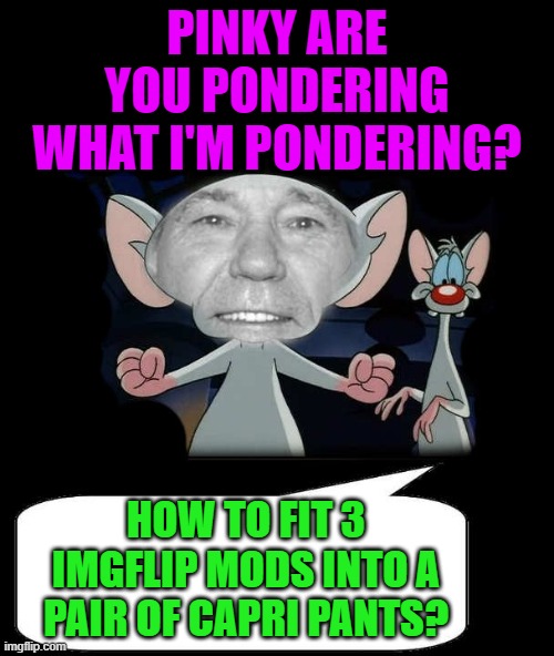 PINKY ARE YOU PONDERING WHAT I'M PONDERING? HOW TO FIT 3 IMGFLIP MODS INTO A PAIR OF CAPRI PANTS? | made w/ Imgflip meme maker