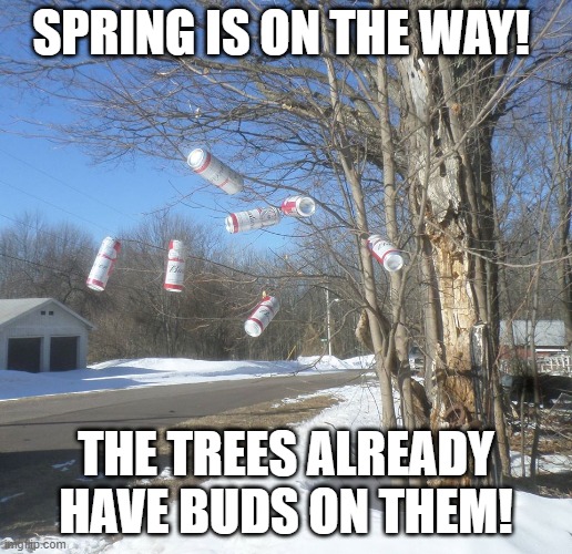 SPRING IS ON THE WAY! THE TREES ALREADY HAVE BUDS ON THEM! | image tagged in spring | made w/ Imgflip meme maker