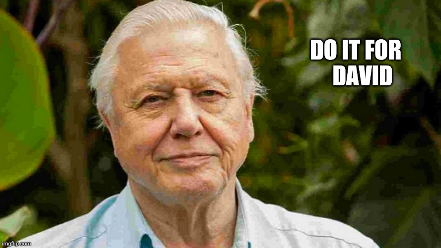 DO IT FOR       


DAVID | image tagged in coronavirus | made w/ Imgflip meme maker