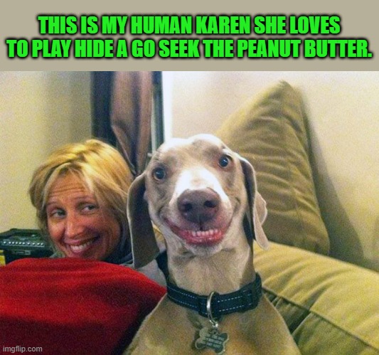 hide and go seek | THIS IS MY HUMAN KAREN SHE LOVES TO PLAY HIDE A GO SEEK THE PEANUT BUTTER. | image tagged in karen,dog | made w/ Imgflip meme maker