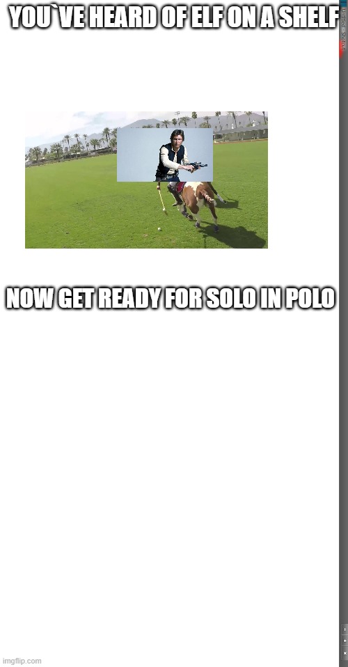  YOU`VE HEARD OF ELF ON A SHELF; NOW GET READY FOR SOLO IN POLO | image tagged in funny | made w/ Imgflip meme maker
