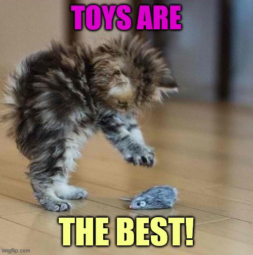 TOYS ARE THE BEST! | made w/ Imgflip meme maker