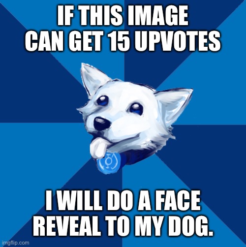 hope corgi | IF THIS IMAGE CAN GET 15 UPVOTES; I WILL DO A FACE REVEAL TO MY DOG. | image tagged in hope corgi | made w/ Imgflip meme maker