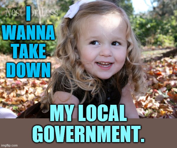As A Young Child Did You Ever Dream | I WANNA TAKE DOWN; MY LOCAL GOVERNMENT. | image tagged in memes,childhood,dreams,take down,local,government | made w/ Imgflip meme maker