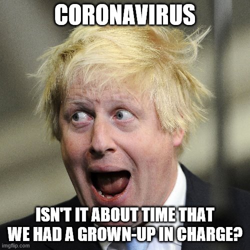 Boris Johnson | CORONAVIRUS; ISN'T IT ABOUT TIME THAT WE HAD A GROWN-UP IN CHARGE? | image tagged in boris johnson | made w/ Imgflip meme maker