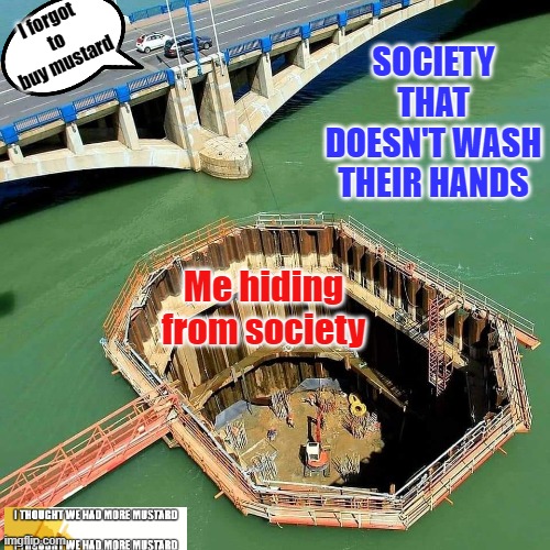 People Suck | I forgot to buy mustard; SOCIETY THAT DOESN'T WASH THEIR HANDS; Me hiding from society | image tagged in avoid society,society,quarantine | made w/ Imgflip meme maker