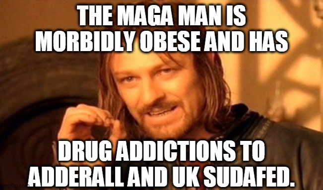 One Does Not Simply Meme | THE MAGA MAN IS MORBIDLY OBESE AND HAS DRUG ADDICTIONS TO ADDERALL AND UK SUDAFED. | image tagged in memes,one does not simply | made w/ Imgflip meme maker