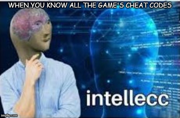 intellecc | WHEN YOU KNOW ALL THE GAME'S CHEAT CODES | image tagged in intellecc | made w/ Imgflip meme maker