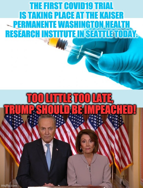 It will take a year to 18 months to fully validate any potential vaccine. Just a little truth. | THE FIRST COVID19 TRIAL IS TAKING PLACE AT THE KAISER PERMANENTE WASHINGTON HEALTH RESEARCH INSTITUTE IN SEATTLE TODAY. TOO LITTLE TOO LATE, TRUMP SHOULD BE IMPEACHED! | image tagged in syringe vaccine medicine,chuck and nancy | made w/ Imgflip meme maker