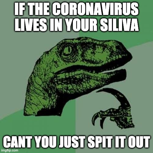 Philosoraptor | IF THE CORONAVIRUS LIVES IN YOUR SILIVA; CANT YOU JUST SPIT IT OUT | image tagged in memes,philosoraptor | made w/ Imgflip meme maker